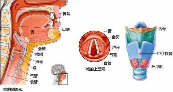 微信图片_20240119081943.jpg
