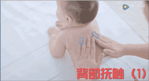 1226.gif