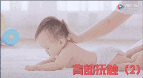 1227.gif